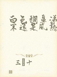 白色稠鼻涕是风寒还是风热