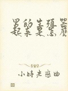 男的生殖器勃不起来是怎么回事