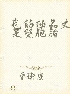 我的极品丈母娘是双胞胎