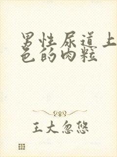 男性尿道上有白色的肉粒