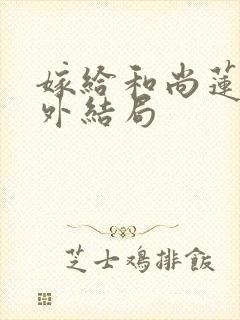 嫁给和尚莲奴番外结局