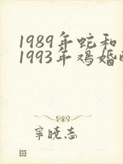 1989年蛇和1993年鸡婚配