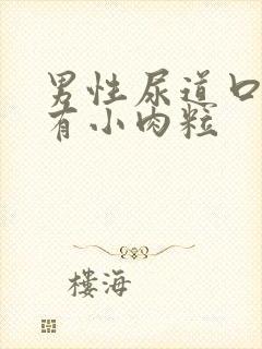 男性尿道口下面有小肉粒