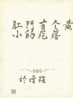 肛门有个黄豆大小的疙瘩