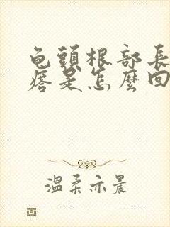 龟头根部长小疙瘩是怎么回事