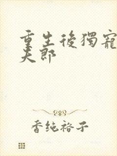 重生后独宠哑巴夫郎