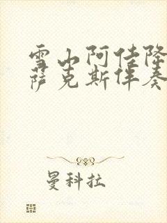 雪山阿佳降b调萨克斯伴奏封面