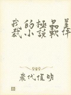 我的极品美女总裁小说软件