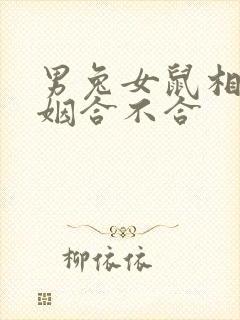 男兔女鼠相配婚姻合不合