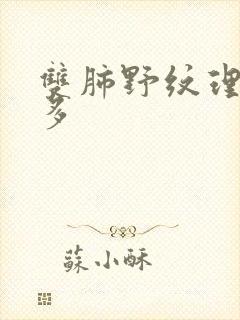 双肺野纹理稍增多