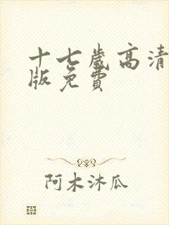 十七岁高清完整版免费