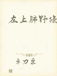 左上肺野条索影