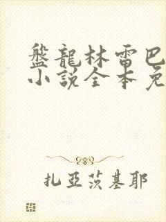 盘龙林雷巴鲁克小说全本免费下载封面