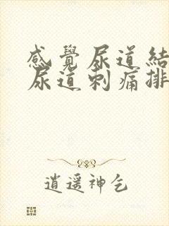 感觉尿道结石在尿道刺痛排不出尿