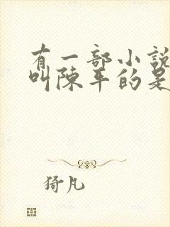 有一部小说主角叫陈平的是什么小说