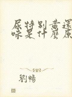 尿特别黄还特别味是什么原因