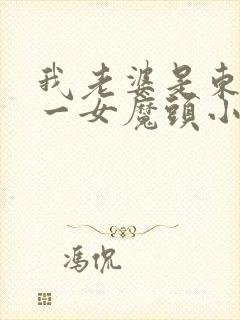 我老婆是东晋第一女魔头小说下载