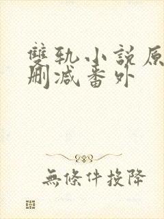 双轨小说原著未删减番外