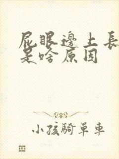 屁眼边上长个痘是啥原因