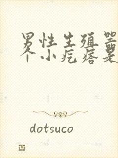 男性生殖器长了个小疙瘩是怎么回事