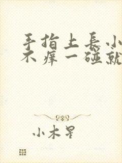 手指上长小红点不痒一碰就疼