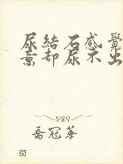 尿结石感觉有尿意却尿不出来