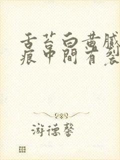 舌苔白黄腻有齿痕中间有裂纹