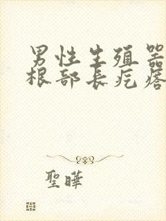 男性生殖器上面根部长疙瘩