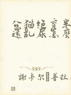 公猫绝育半年了还乱尿怎么办