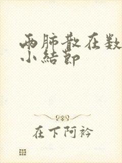 两肺散在数枚微小结节封面