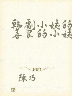 韩剧小姨的关心善良的小姨是谁