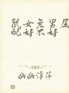 鼠女兔男属相婚配好不好