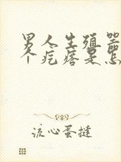 男人生殖器起了个疙瘩是怎么回事