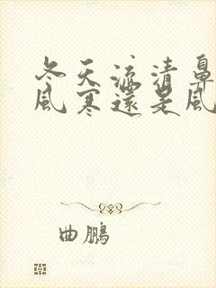 冬天流清鼻涕是风寒还是风热