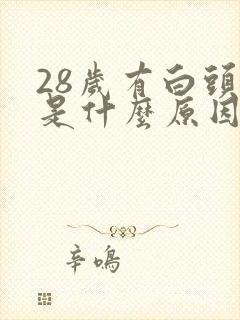 28岁有白头发是什么原因封面