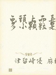 龟头上面长了很多小颗粒是什么