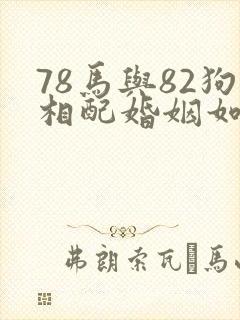 78马与82狗相配婚姻如何封面