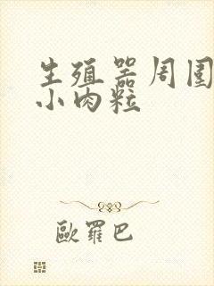 生殖器周围长出小肉粒