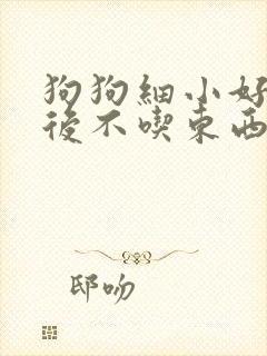 狗狗细小好了以后不吃东西怎么办