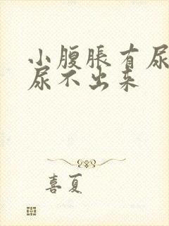 小腹胀有尿意却尿不出来封面