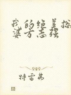 我的绝美总裁老婆方志强