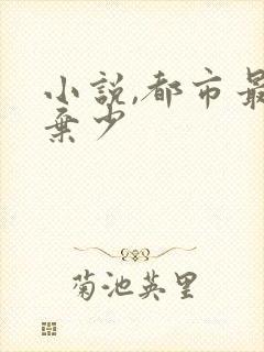 小说,都市最强弃少封面