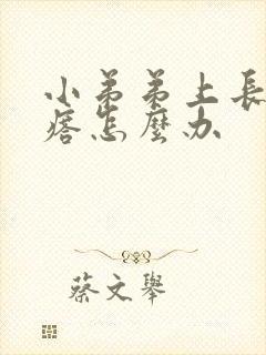 小弟弟上长肉疙瘩怎么办封面