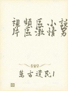 视频区小说区图片区激情另类