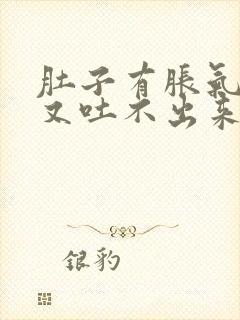 肚子有胀气想吐又吐不出来怎么回事