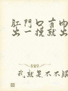 肛门口有肉球突出一摸就出血