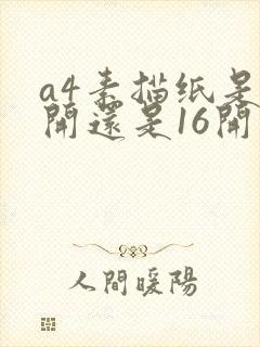 a4素描纸是8开还是16开
