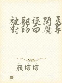 被驱逐开勇者派对的白魔导师动漫免费观看