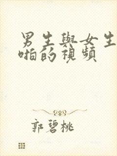 男生与女生啪啪啪的视频