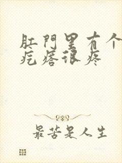 肛门里有个小硬疙瘩很疼封面